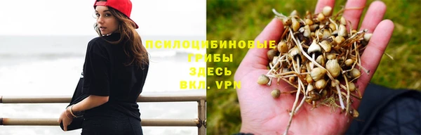бошки Красноперекопск