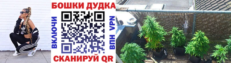 где найти   кракен зеркало  Канабис THC 21%  Яхрома 